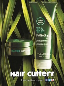 Hair Cuttery Buy One, Get One 50% Hair Care Product Special